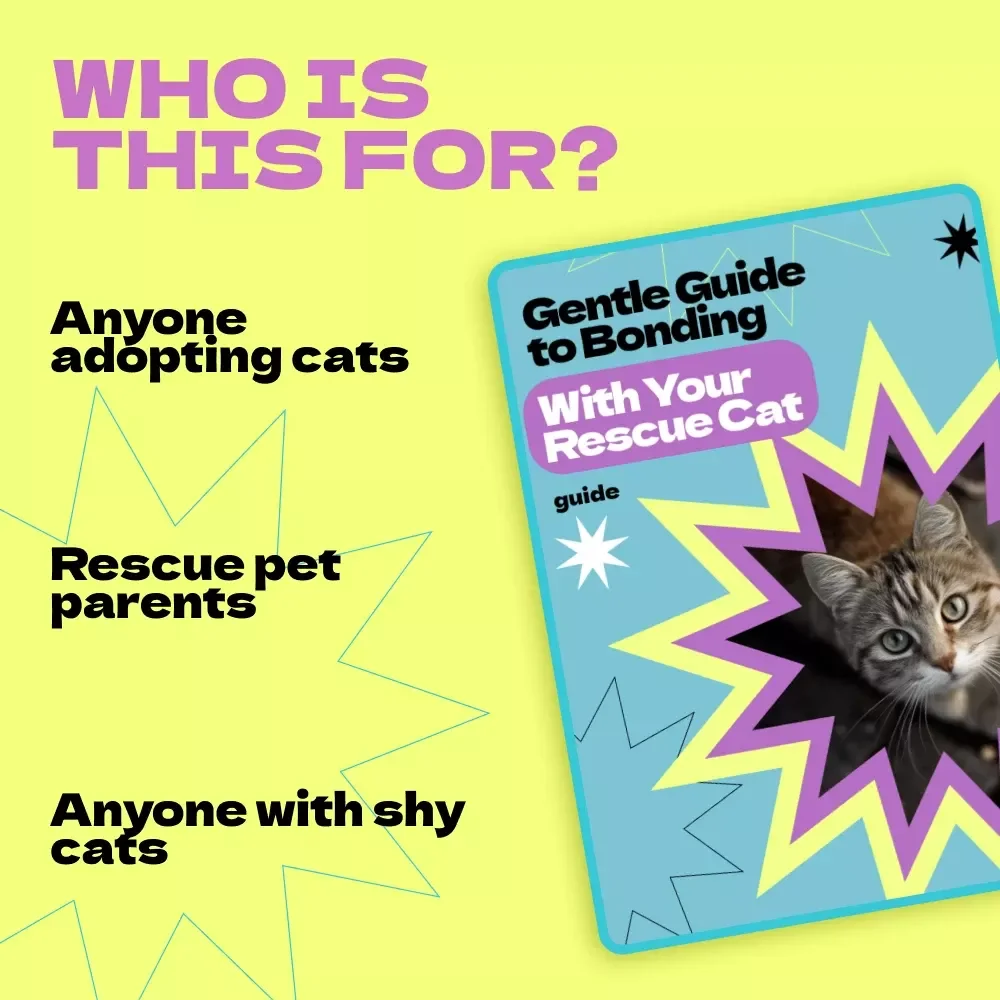 Gentle Guide to Bonding With Your Rescue Cat | How to Bond With Rescue Cat eBook, New Cat Owner Guide, Trust Building Checklist, Cat Behavior Help