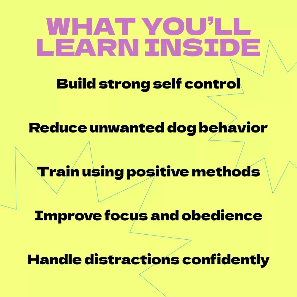 Master the Stay Command for Your Dog Self-Control – How to Teach Dog to Stay Guide, Dog Training eBook, Obedience Training Checklist, Positive Reinforcement Manual