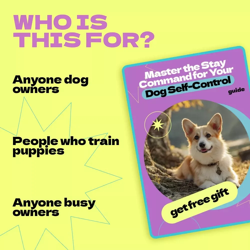 Master the Stay Command for Your Dog Self-Control – How to Teach Dog to Stay Guide, Dog Training eBook, Obedience Training Checklist, Positive Reinforcement Manual