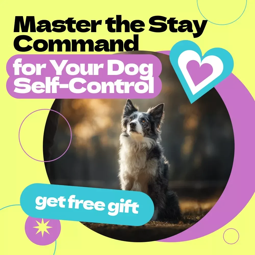 Master the Stay Command for Your Dog Self-Control – How to Teach Dog to Stay Guide, Dog Training eBook, Obedience Training Checklist, Positive Reinforcement Manual