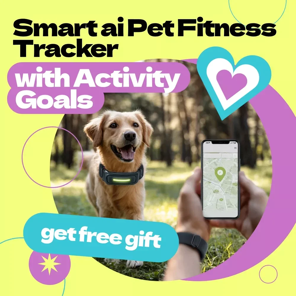 AI Pet Fitness Tracker Checklist – Smart ai pet fitness tracker with activity goals Guide for Dogs, Personalized Activity Plans, Health Monitoring & Daily Exercise Routine Planner