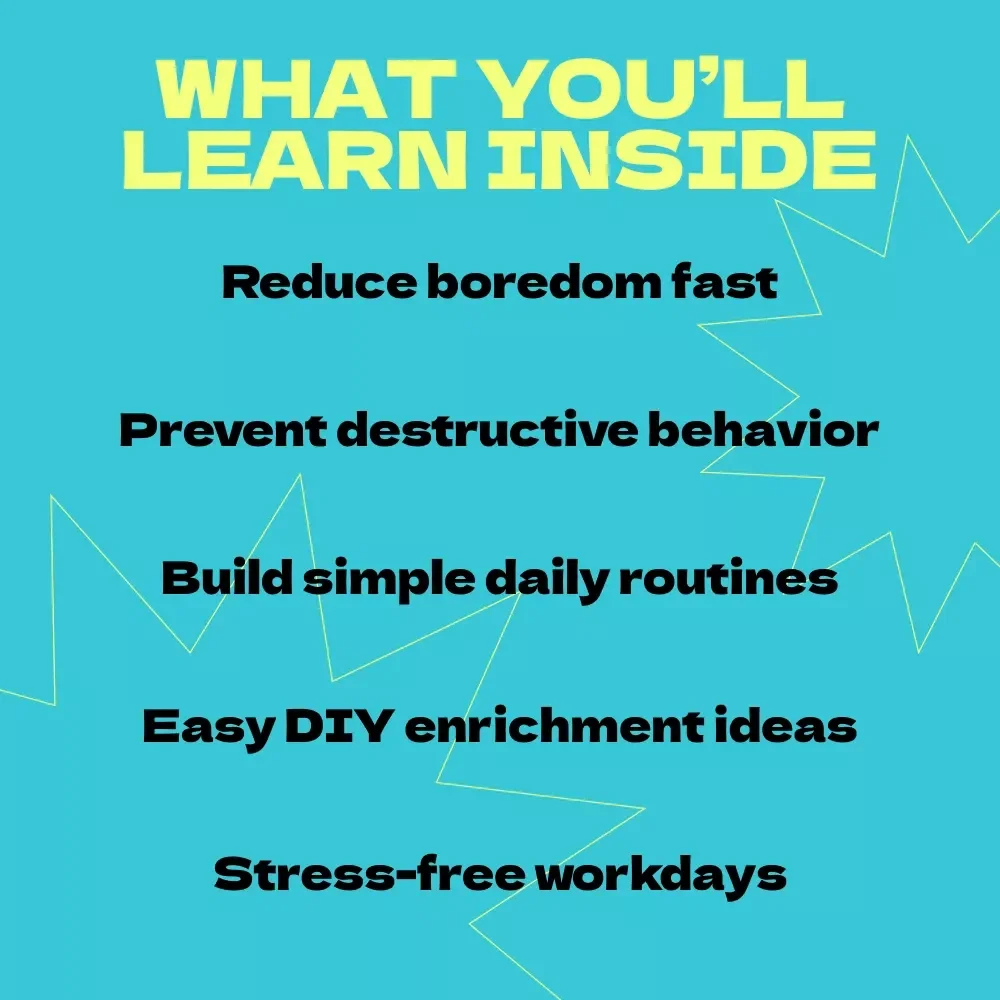 Busy Dog Owner’s Guide to Keeping Your Pup Entertained – How to Keep Dog Busy While at Work, DIY Toys, Mental Stimulation & Routine Training eBook