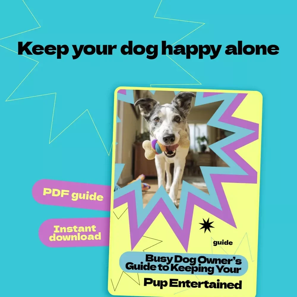 Busy Dog Owner’s Guide to Keeping Your Pup Entertained – How to Keep Dog Busy While at Work, DIY Toys, Mental Stimulation & Routine Training eBook