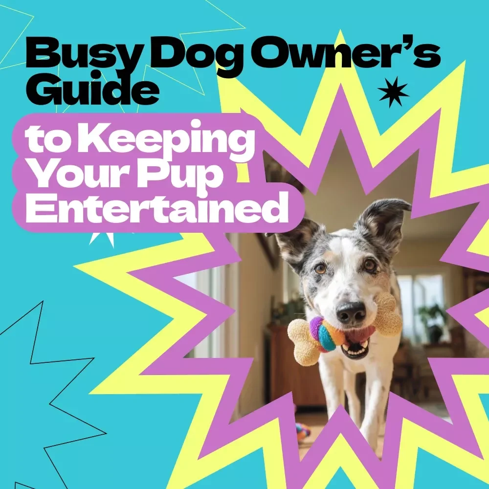 Busy Dog Owner’s Guide to Keeping Your Pup Entertained – How to Keep Dog Busy While at Work, DIY Toys, Mental Stimulation & Routine Training eBook