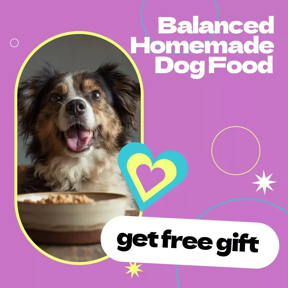 Balanced Homemade Dog Food eBook – How to Make Homemade Dog Food Balanced Guide for Healthy, Nutritious Meals