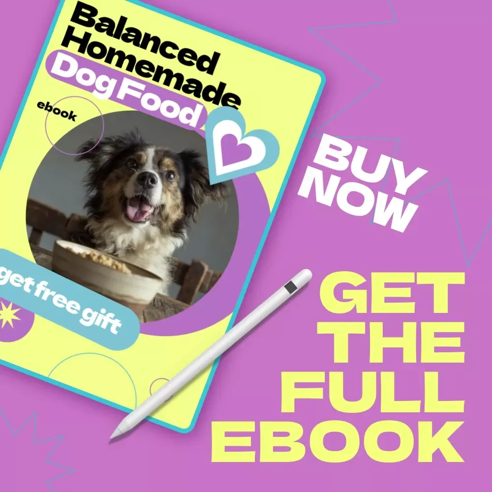 Balanced Homemade Dog Food eBook – How to Make Homemade Dog Food Balanced Guide for Healthy, Nutritious Meals