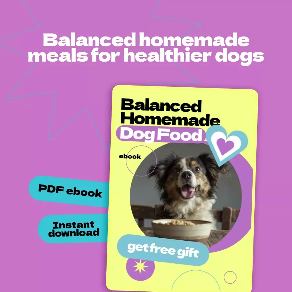 Balanced Homemade Dog Food eBook – How to Make Homemade Dog Food Balanced Guide for Healthy, Nutritious Meals