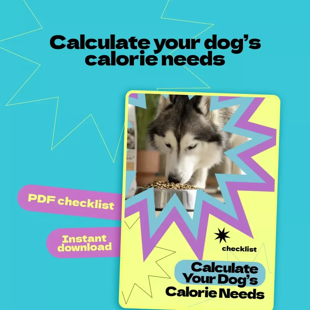 Calculate Your Dog’s Calorie Needs – Printable Checklist Guide for Pet Owners | How to Calculate Dog Calorie Needs Easily at Home