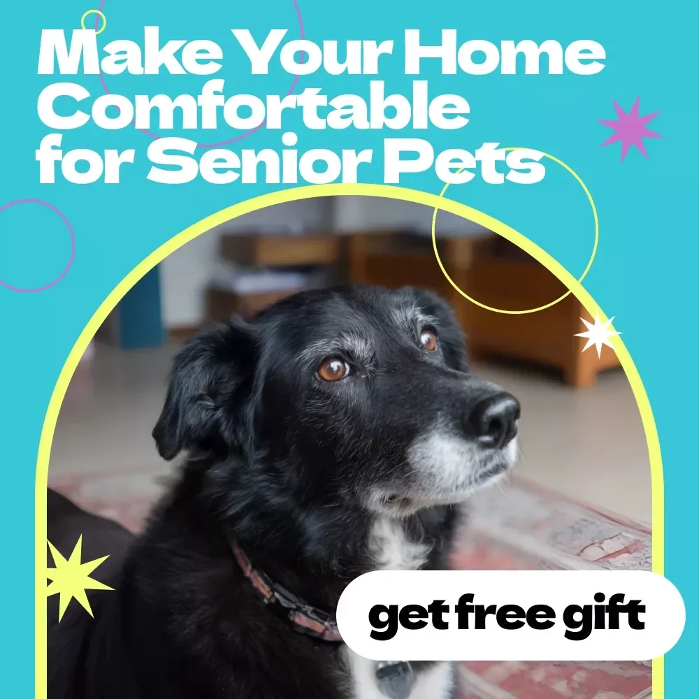 Make Your Home Comfortable for Senior Pets – Printable Checklist Guide | how to make home comfortable for senior pet | Easy Aging Pet Care PDF