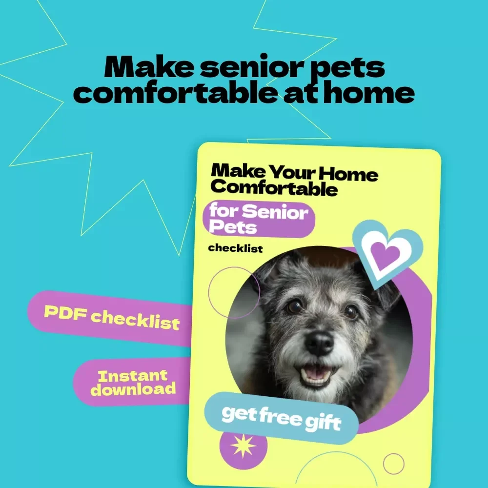 Make Your Home Comfortable for Senior Pets – Printable Checklist Guide | how to make home comfortable for senior pet | Easy Aging Pet Care PDF