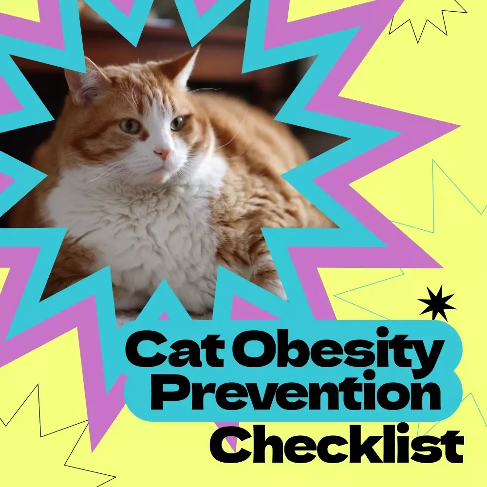 Cat Obesity Prevention Checklist – How to Prevent Cat Obesity Guide, Healthy Weight Planner for Cats, Pet Care Digital Download