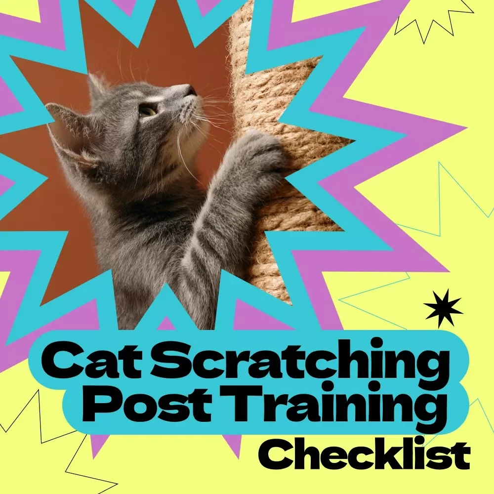 Cat Scratching Post Training Checklist | how to train cat to use scratching post Guide | Easy Cat Training Digital Download for Furniture Protection & Happy Cats