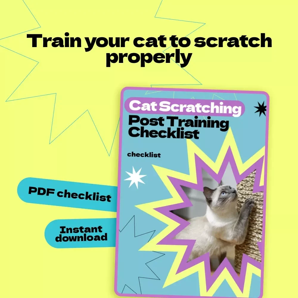 Cat Scratching Post Training Checklist | how to train cat to use scratching post Guide | Easy Cat Training Digital Download for Furniture Protection & Happy Cats