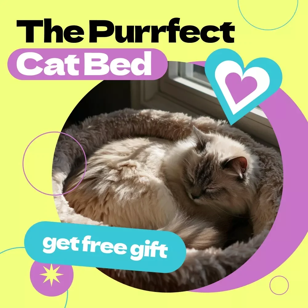 The Purrfect Cat Bed Checklist – How to Choose Cat Bed Guide for Cozy, Comfortable & Happy Cats | Instant Digital Download