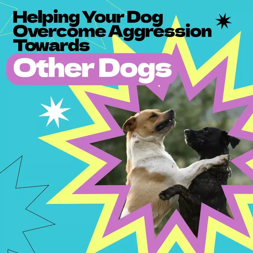 Helping Your Dog Overcome Aggression Towards Other Dogs | Complete Training Guide, How to Help Dog with Aggression Towards Other Dogs, Behavior Workbook & Step-by-Step Plan