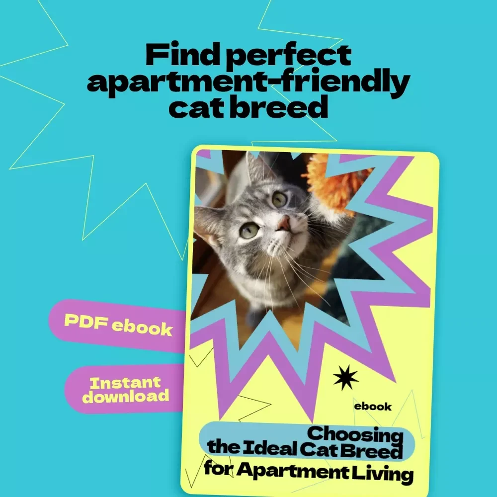 Choosing the Ideal Cat Breed for Apartment Living – How to Choose Cat Breed for Apartment | Digital eBook Guide for First-Time Cat Owners & Small Space Living
