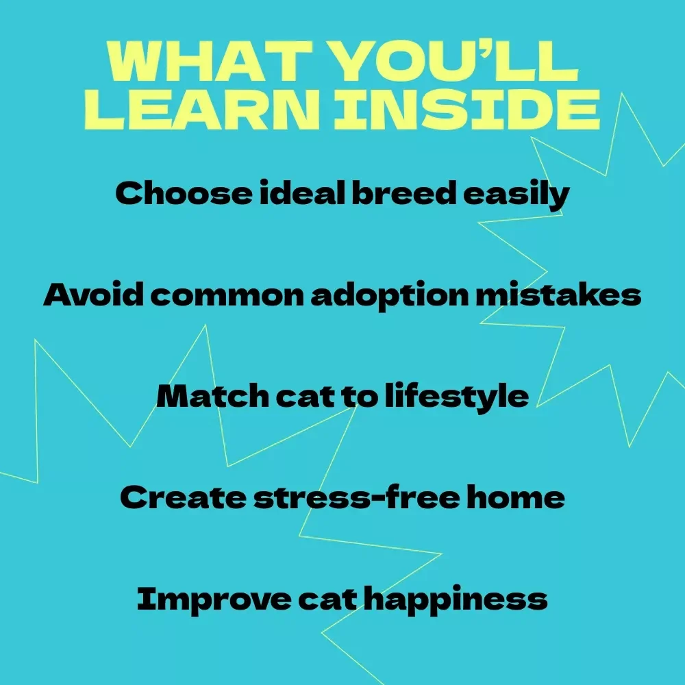 Choosing the Ideal Cat Breed for Apartment Living – How to Choose Cat Breed for Apartment | Digital eBook Guide for First-Time Cat Owners & Small Space Living