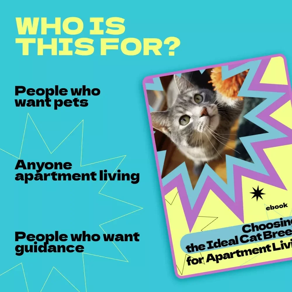 Choosing the Ideal Cat Breed for Apartment Living – How to Choose Cat Breed for Apartment | Digital eBook Guide for First-Time Cat Owners & Small Space Living
