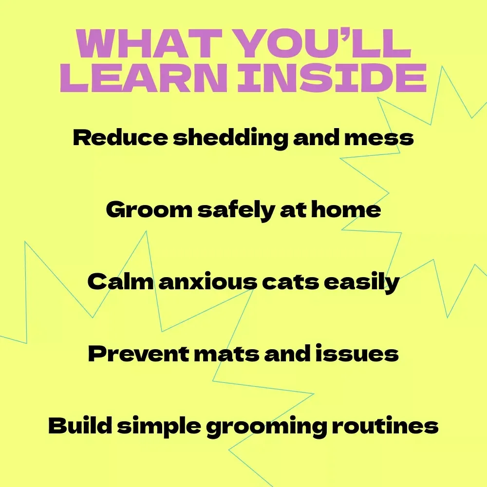 DIY Cat Grooming at Home eBook: Complete Guide on How to DIY Cat Grooming at Home with Tools, Techniques, Stress-Free Tips & Grooming Routines