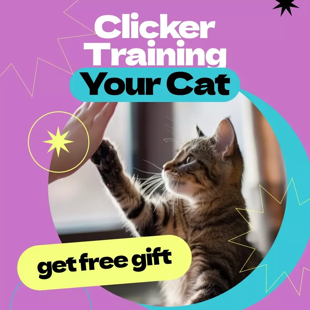 Clicker Training Your Cat – Complete eBook Guide on how to clicker train a cat, Beginner-Friendly Cat Training Manual, Positive Reinforcement Techniques
