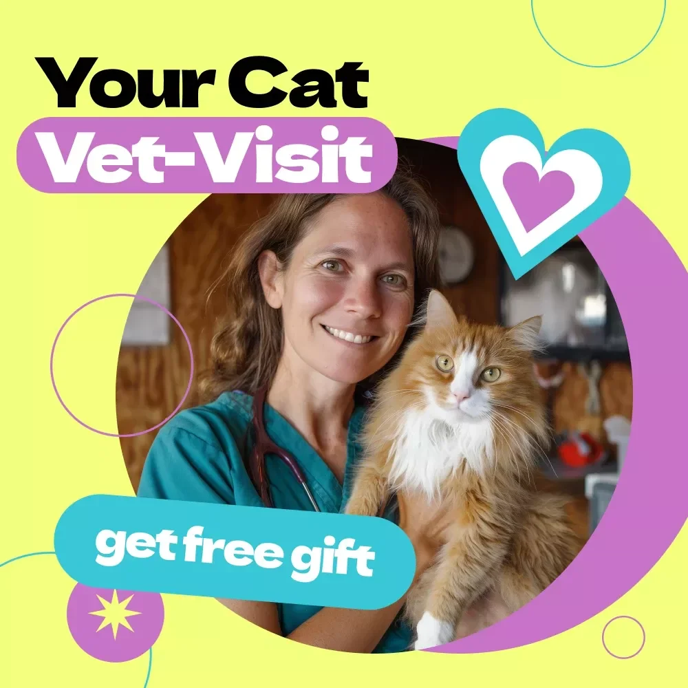 Your Cat Vet-Visit Checklist | Printable Pet Health Planner & Guide – How Often to Take Cat to Vet, Annual Exam Tracker, Cat Care Organizer