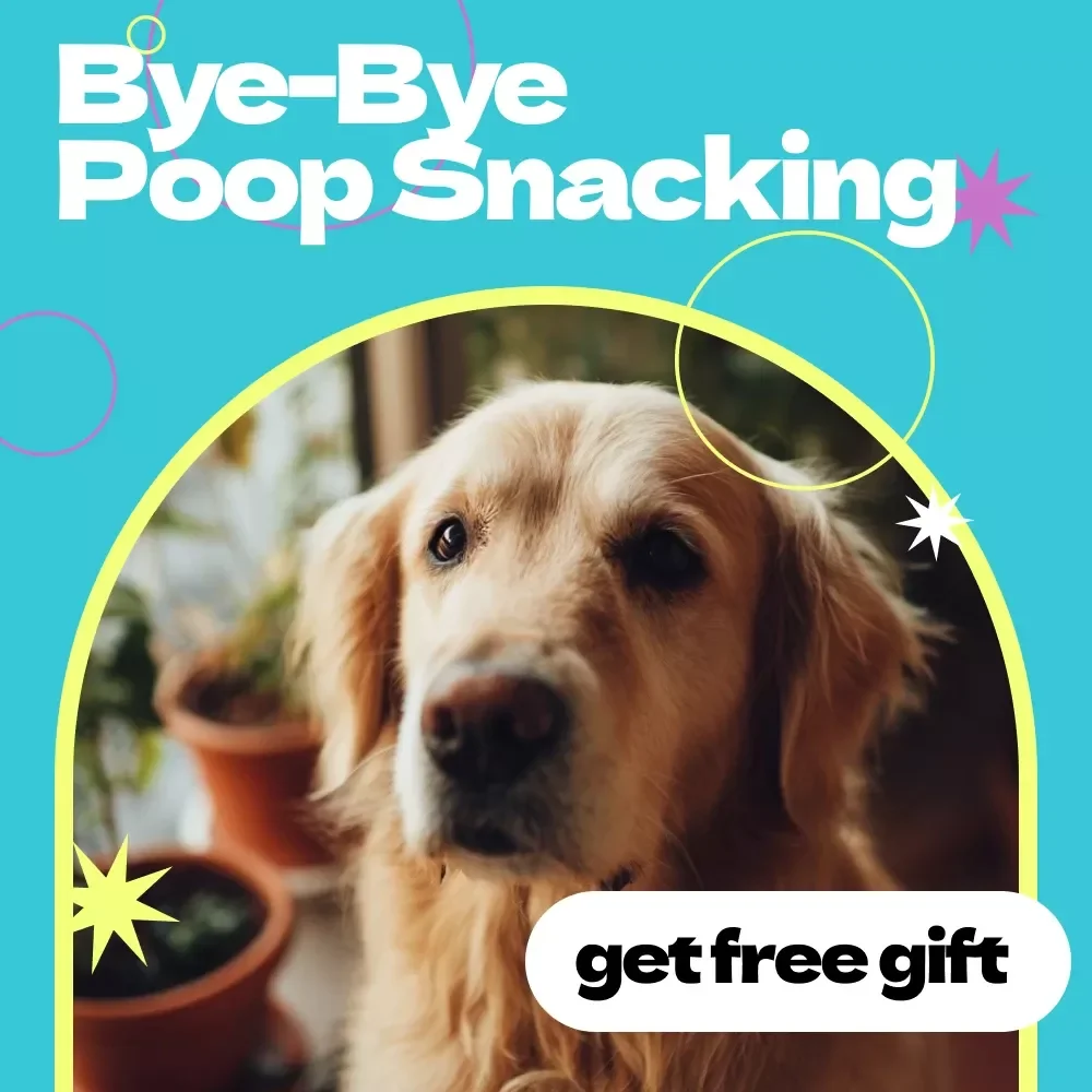 Bye-Bye Poop Snacking: A Fun Checklist to Stop Your Dog – Easy Training Guide for Pet Owners | how to stop dog from eating poop Printable Digital Download