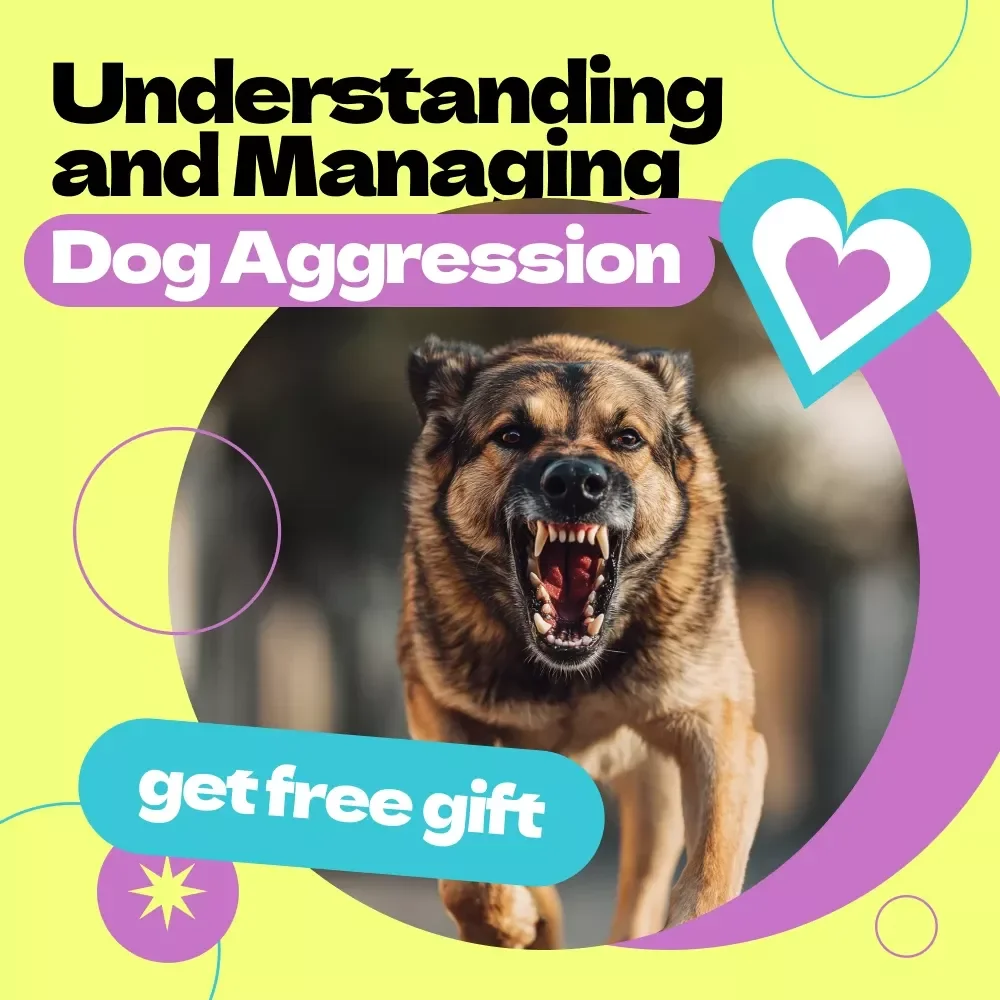 Understanding and Managing Dog Aggression | How to Deal with Dog Aggression Guide | Calm Behavior Training eBook for Reactive Dogs