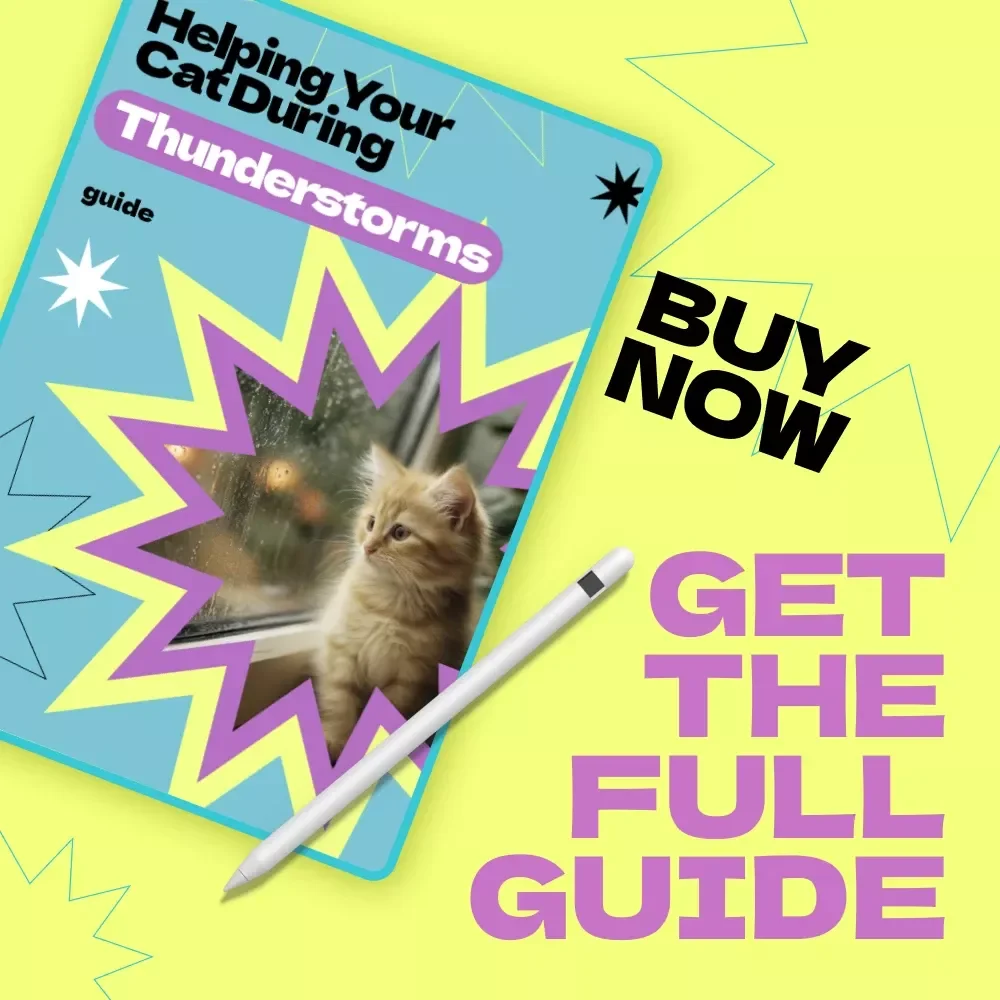 Helping Your Cat During Thunderstorms – Complete Guide on how to keep cat calm during thunderstorms, Anxiety Relief Tips, Safe Space Setup, AI Storm-Calming Plan for Cats
