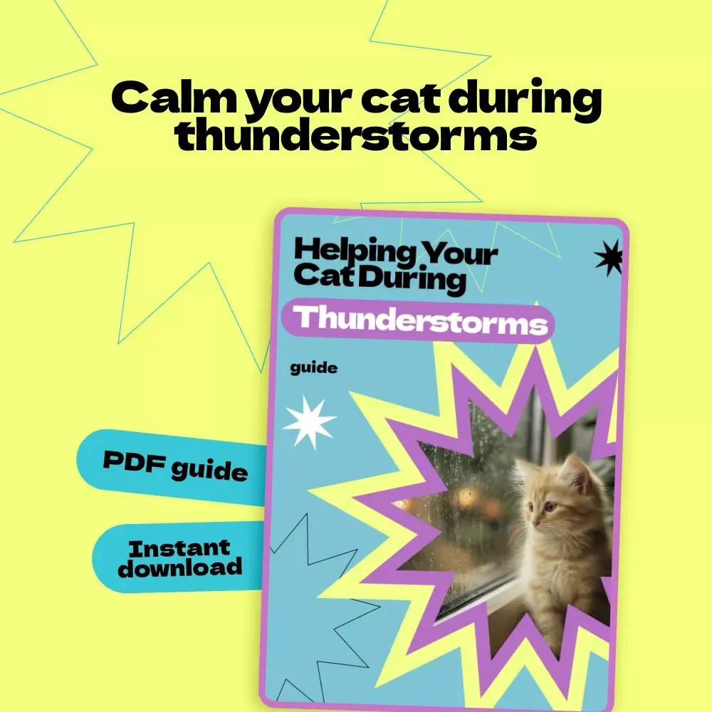 Helping Your Cat During Thunderstorms – Complete Guide on how to keep cat calm during thunderstorms, Anxiety Relief Tips, Safe Space Setup, AI Storm-Calming Plan for Cats