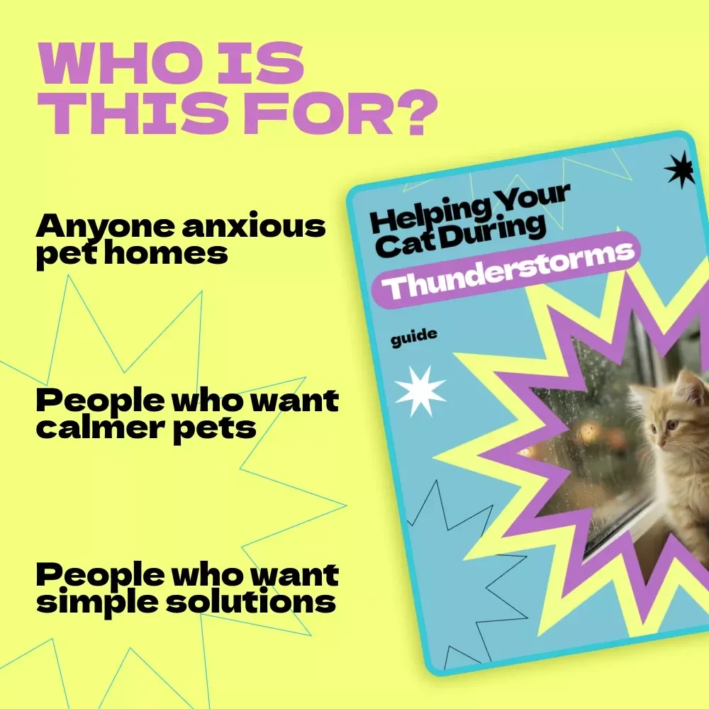 Helping Your Cat During Thunderstorms – Complete Guide on how to keep cat calm during thunderstorms, Anxiety Relief Tips, Safe Space Setup, AI Storm-Calming Plan for Cats