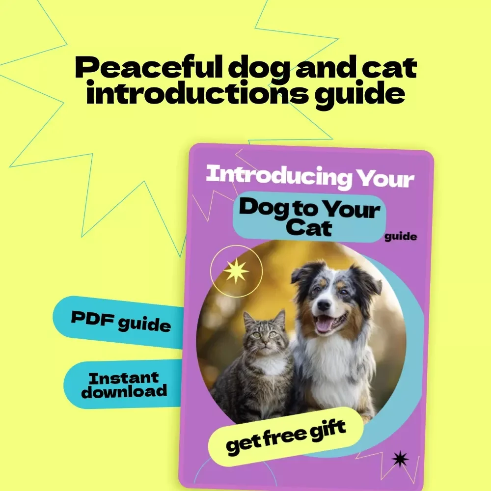 Introducing Your Dog to Your Cat – Complete Guide on How to Introduce Dog to Cat Safely & Stress-Free | Step-by-Step Training, Behavior Tips & AI Tools