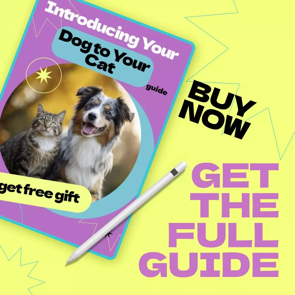 Introducing Your Dog to Your Cat – Complete Guide on How to Introduce Dog to Cat Safely & Stress-Free | Step-by-Step Training, Behavior Tips & AI Tools