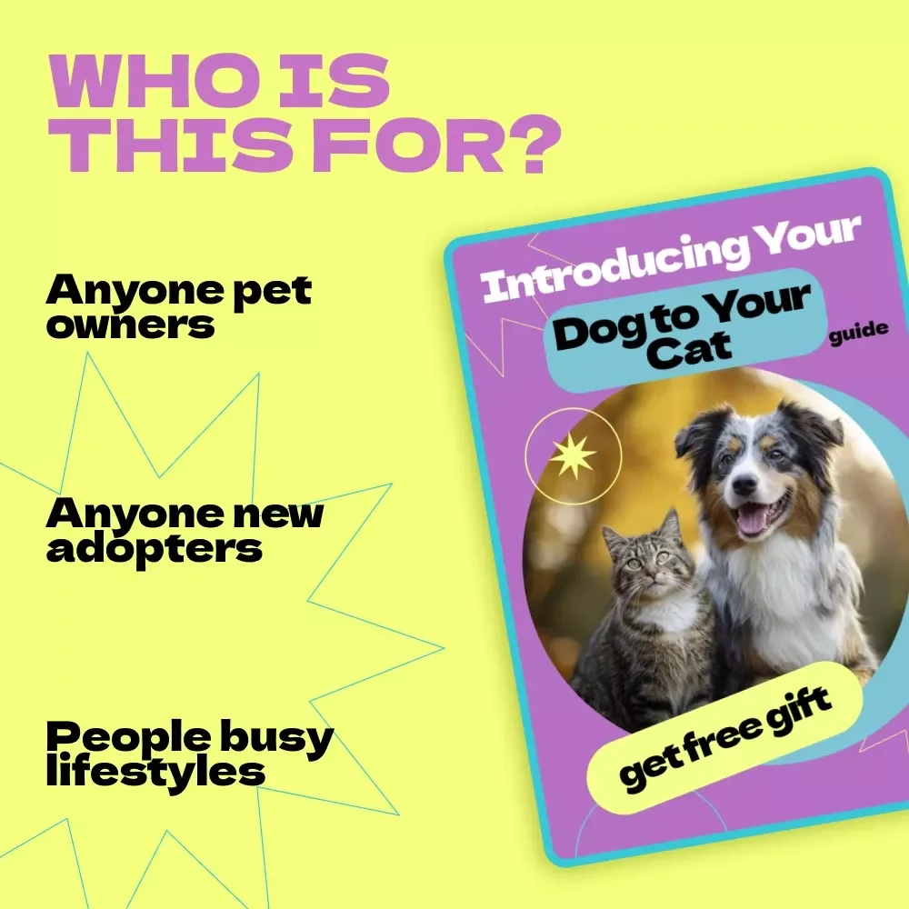 Introducing Your Dog to Your Cat – Complete Guide on How to Introduce Dog to Cat Safely & Stress-Free | Step-by-Step Training, Behavior Tips & AI Tools