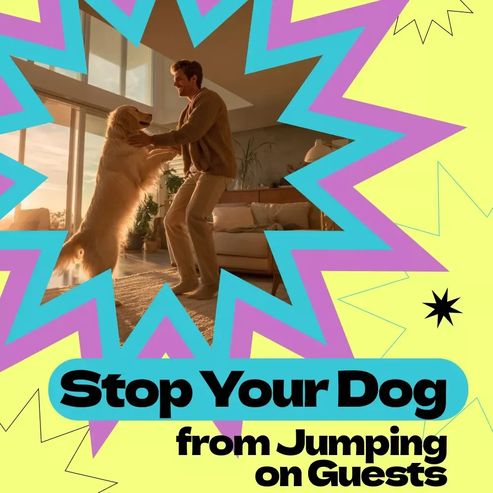 Stop Your Dog from Jumping on Guests Checklist – How to Stop Dog from Jumping on Guests Training Guide, Calm Greeting Routine, Dog Behavior Digital Download