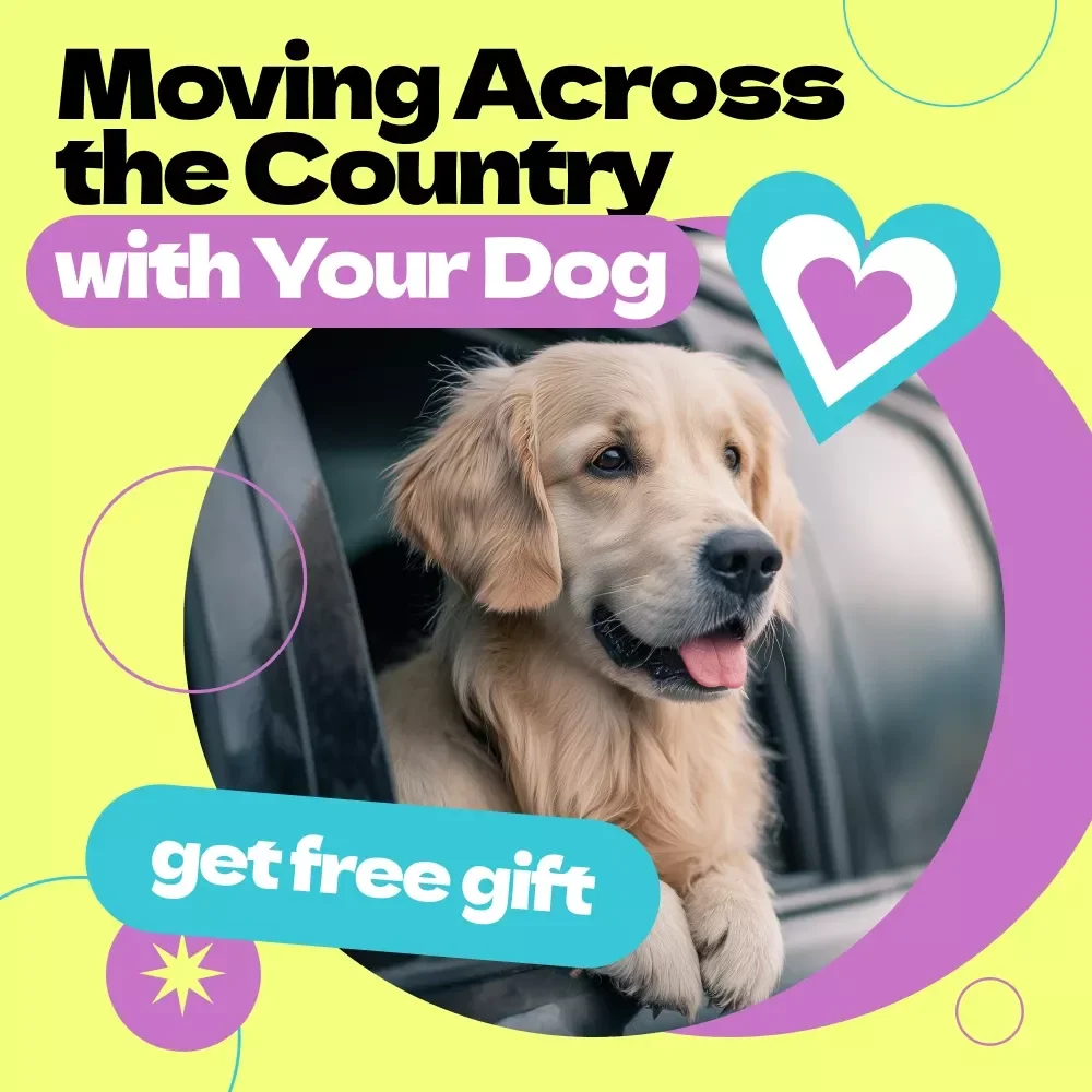 Moving Across the Country with Your Dog – Complete Ebook Guide on how to move with a dog across country, Planning, Travel Tips & Stress-Free Relocation Checklist