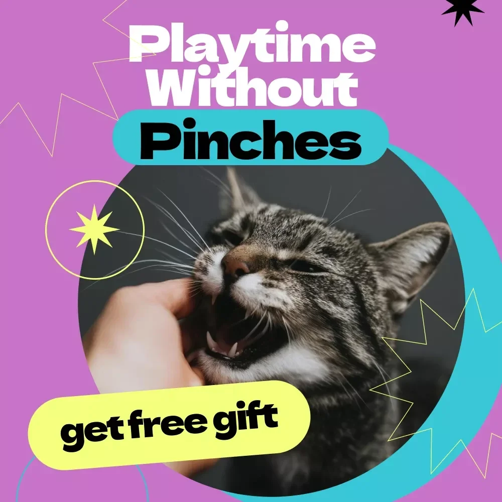 Playtime Without Pinches: A Cat Biting Survival Checklist – How to Stop Cat from Biting During Play, Gentle Training Guide for Happy, Safe Playtime