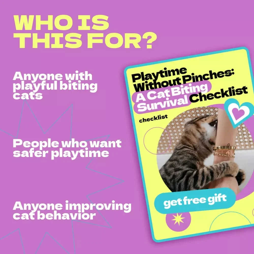 Playtime Without Pinches: A Cat Biting Survival Checklist – How to Stop Cat from Biting During Play, Gentle Training Guide for Happy, Safe Playtime