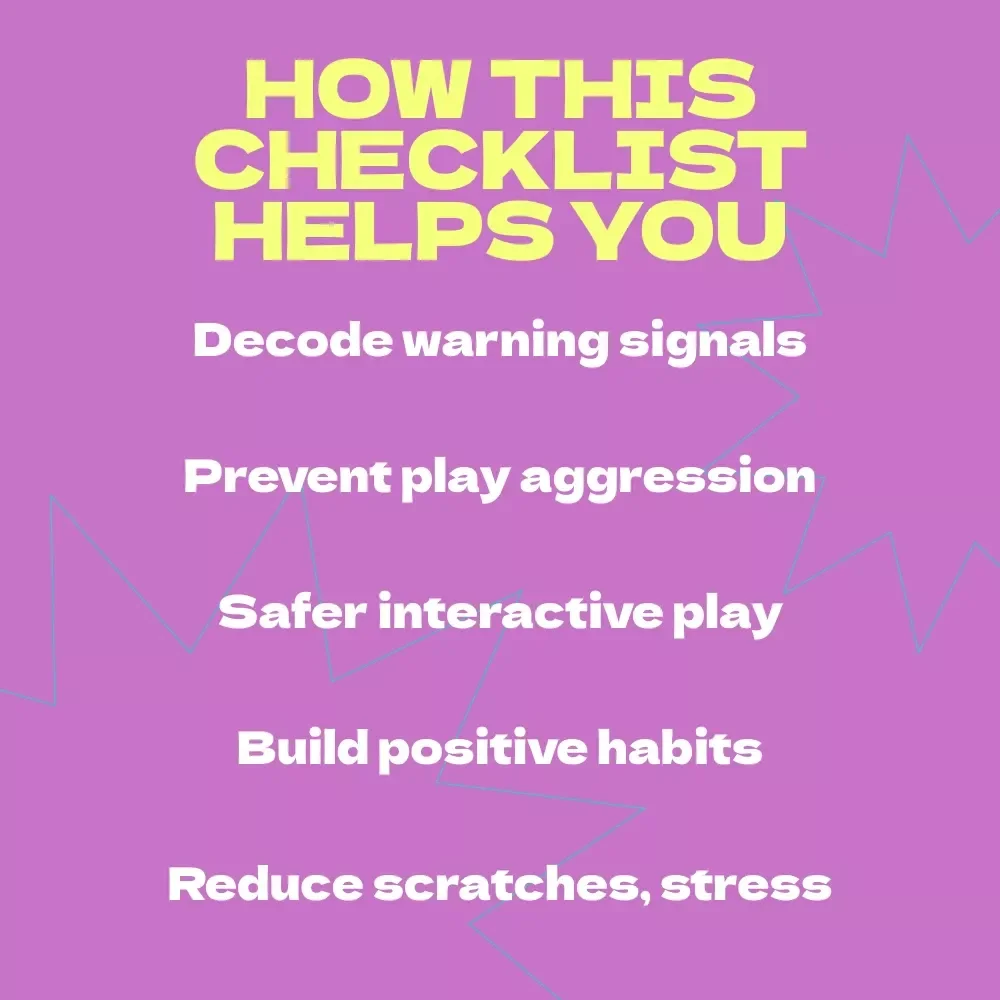 Playtime Without Pinches: A Cat Biting Survival Checklist – How to Stop Cat from Biting During Play, Gentle Training Guide for Happy, Safe Playtime