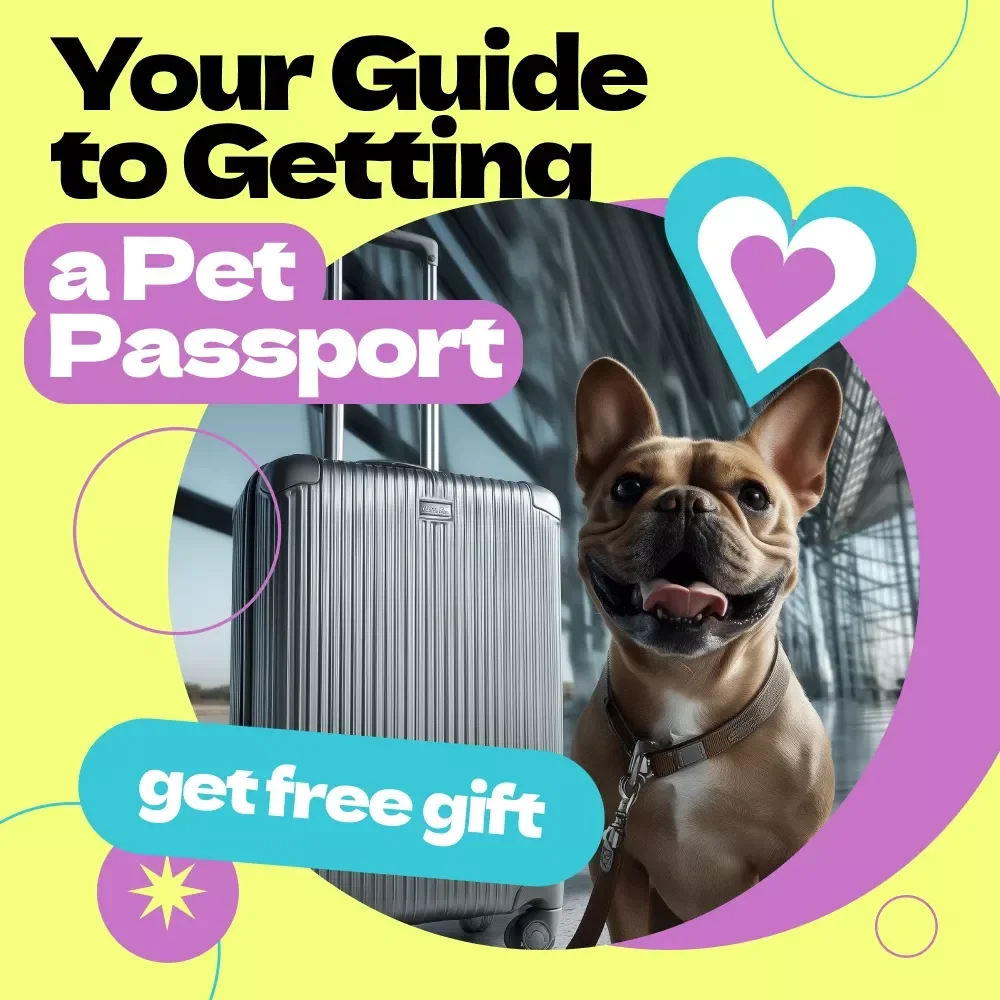 Your Guide to Getting a Pet Passport: Step-by-Step eBook for Stress-Free Pet Travel