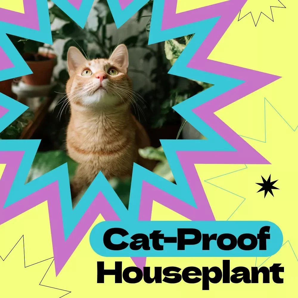 Cat-Proof Houseplant Checklist | How to Stop Cat from Eating Houseplants Guide | Pet-Safe Plant Care Printable Digital Download