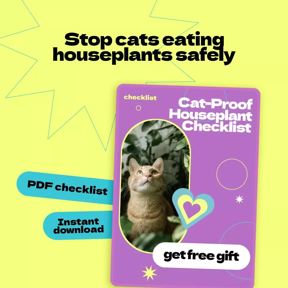 Cat-Proof Houseplant Checklist | How to Stop Cat from Eating Houseplants Guide | Pet-Safe Plant Care Printable Digital Download