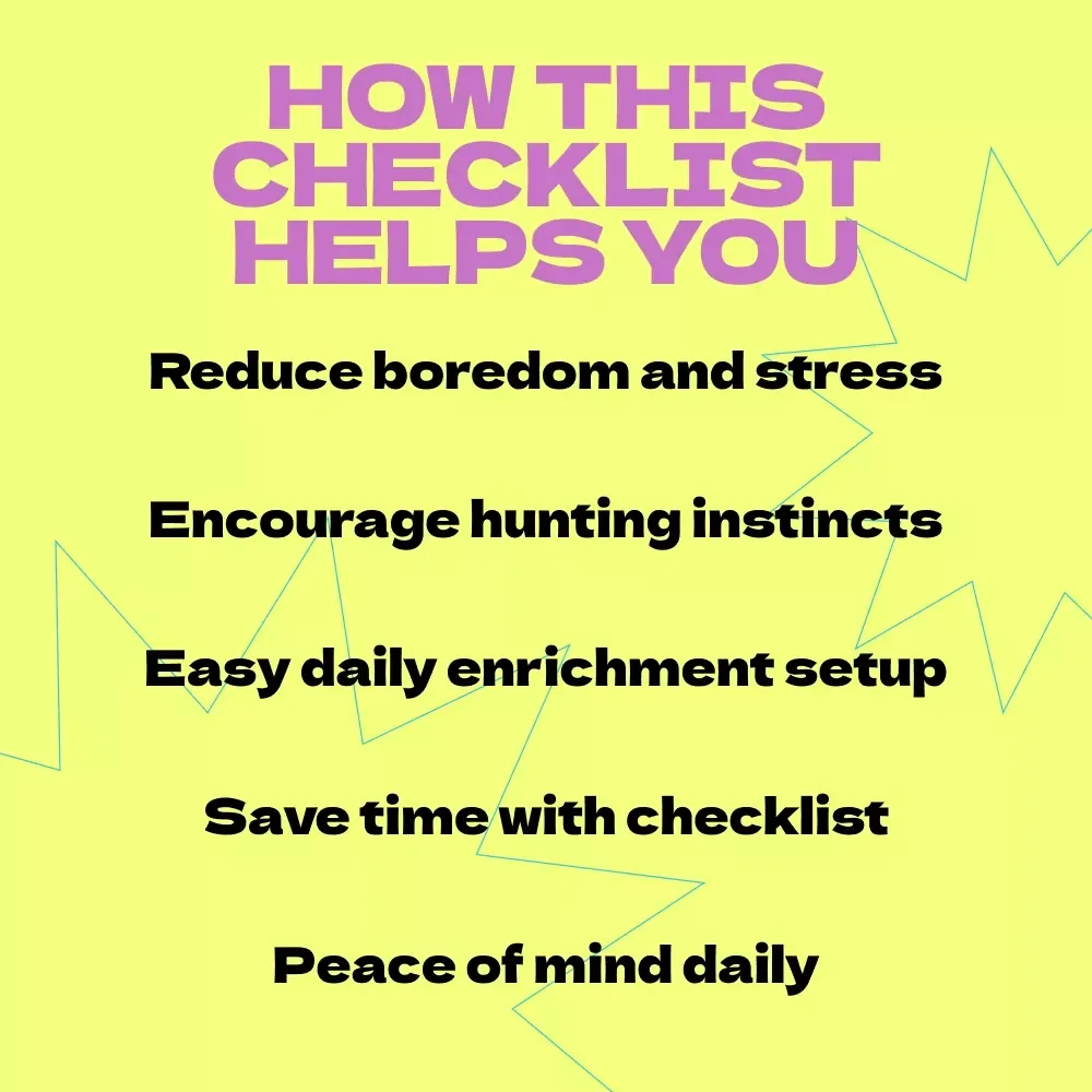 Keep Your Cat Busy While You’re at Work – Ultimate Checklist Guide for How to Keep Cat Busy While at Work | Digital Download Pet Enrichment Planner
