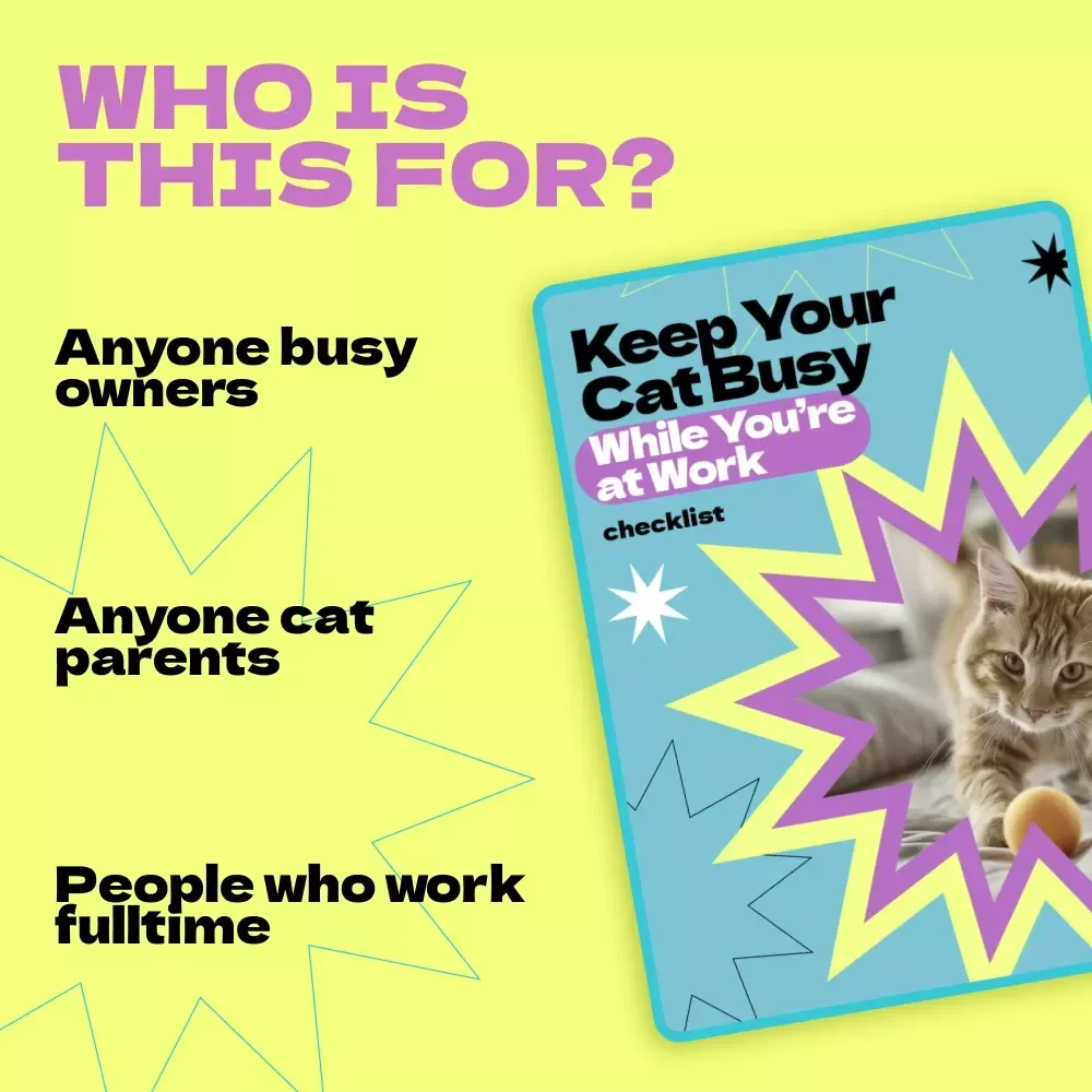 Keep Your Cat Busy While You’re at Work – Ultimate Checklist Guide for How to Keep Cat Busy While at Work | Digital Download Pet Enrichment Planner