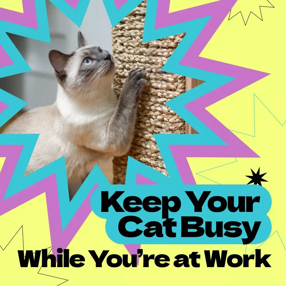 Keep Your Cat Busy While You’re at Work – Ultimate Checklist Guide for How to Keep Cat Busy While at Work | Digital Download Pet Enrichment Planner