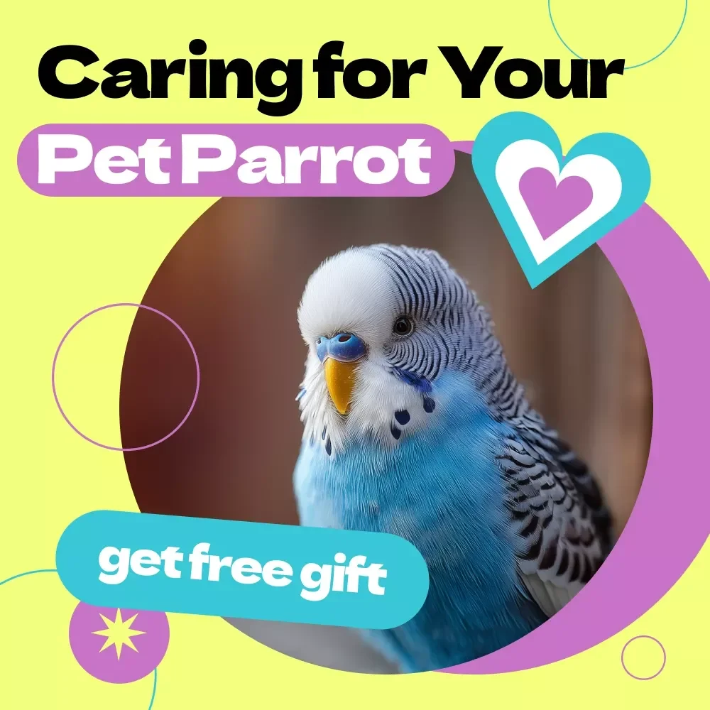 Caring for Your Pet Parrot – Ultimate Guide on how to care for pet parrot | Beginner-Friendly eBook, Parrot Care Checklist, Nutrition, Training & Habitat Setup