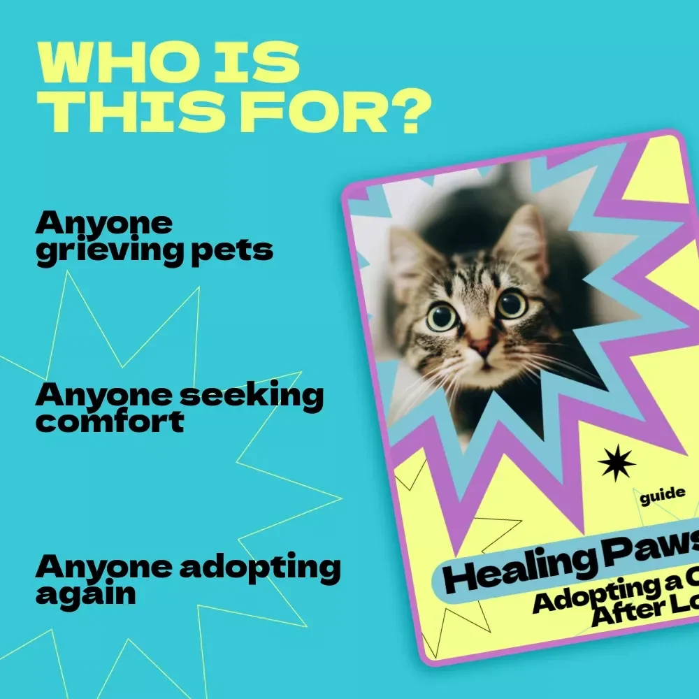 Healing Paws: Adopting a Cat After Loss – A Compassionate Guide on how to adopt a cat after loss, Emotional Healing & Finding the Right Feline Companion