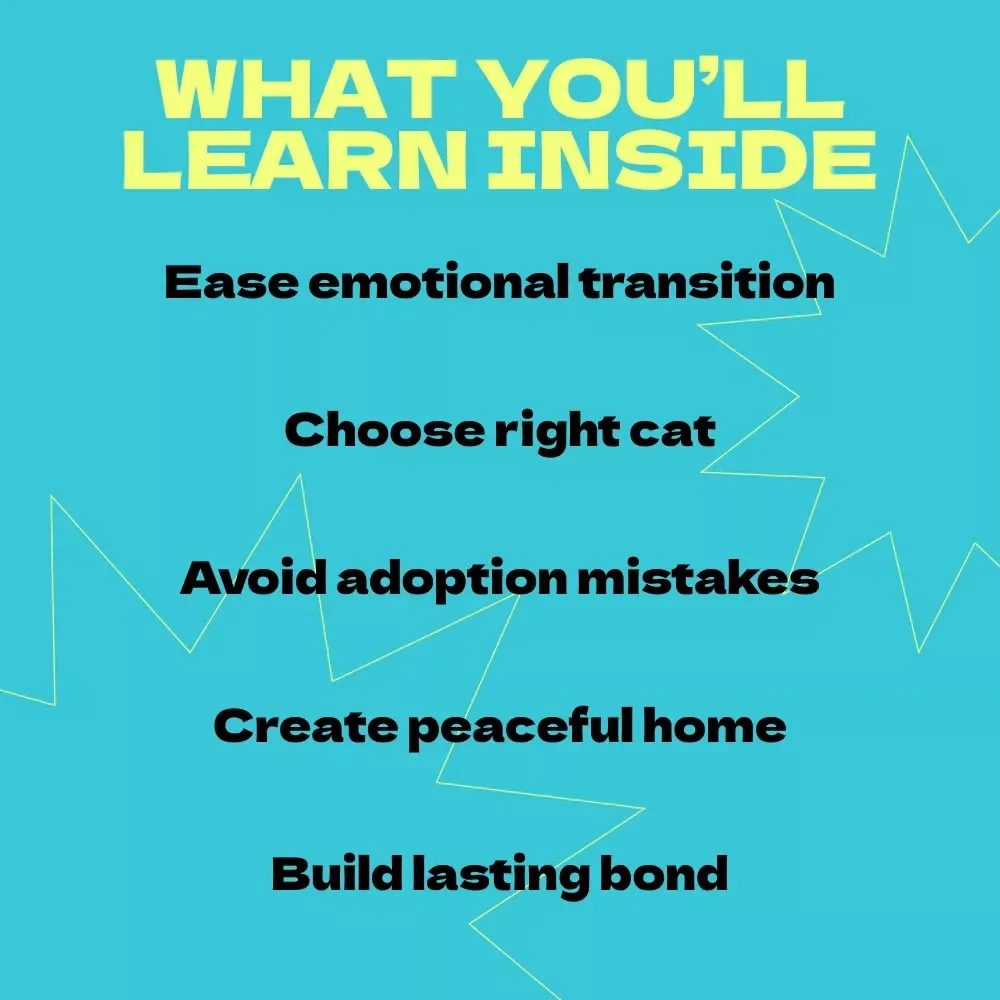 Healing Paws: Adopting a Cat After Loss – A Compassionate Guide on how to adopt a cat after loss, Emotional Healing & Finding the Right Feline Companion