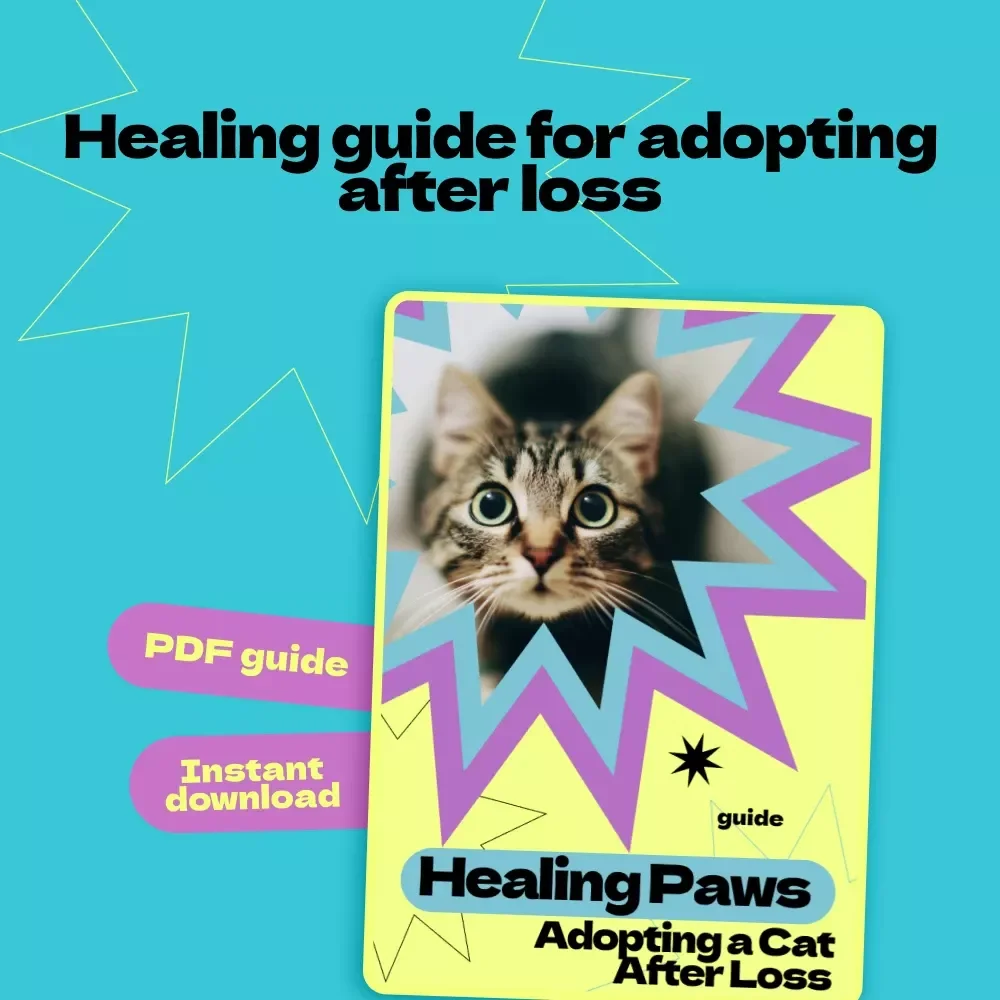 Healing Paws: Adopting a Cat After Loss – A Compassionate Guide on how to adopt a cat after loss, Emotional Healing & Finding the Right Feline Companion