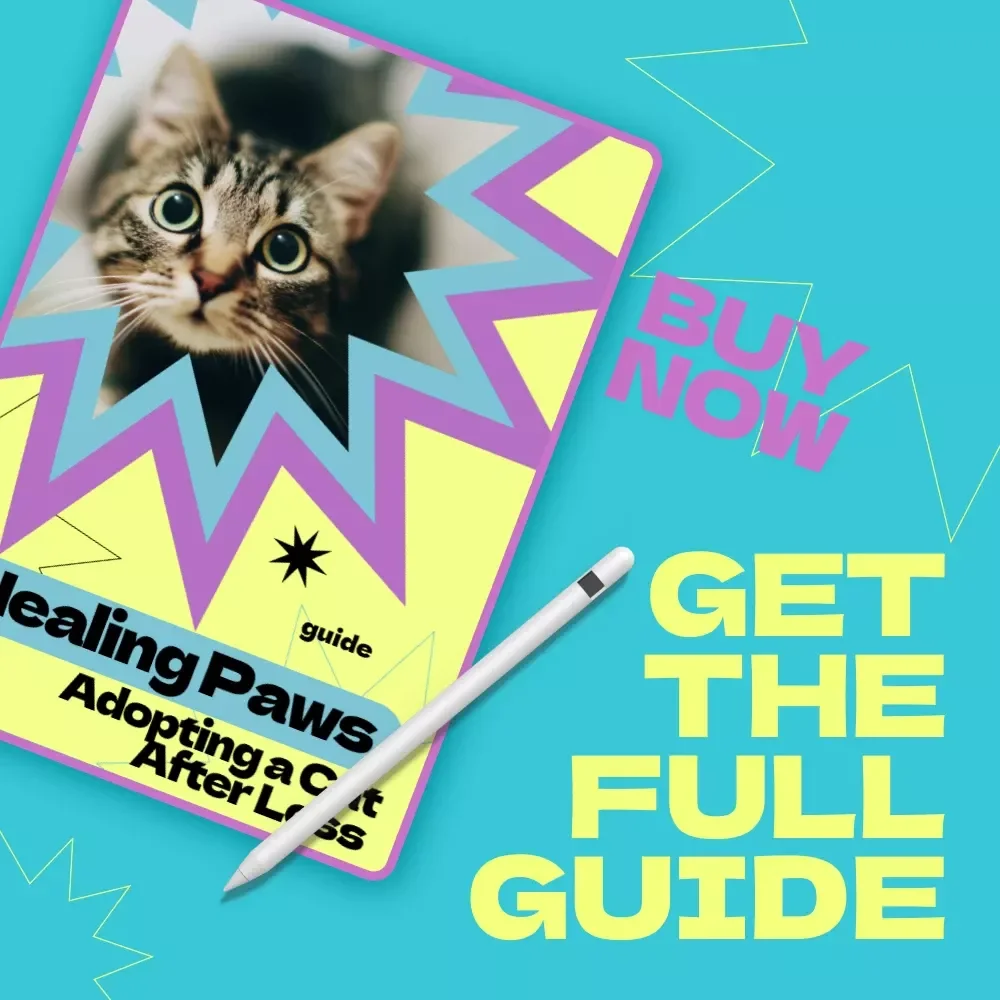 Healing Paws: Adopting a Cat After Loss – A Compassionate Guide on how to adopt a cat after loss, Emotional Healing & Finding the Right Feline Companion