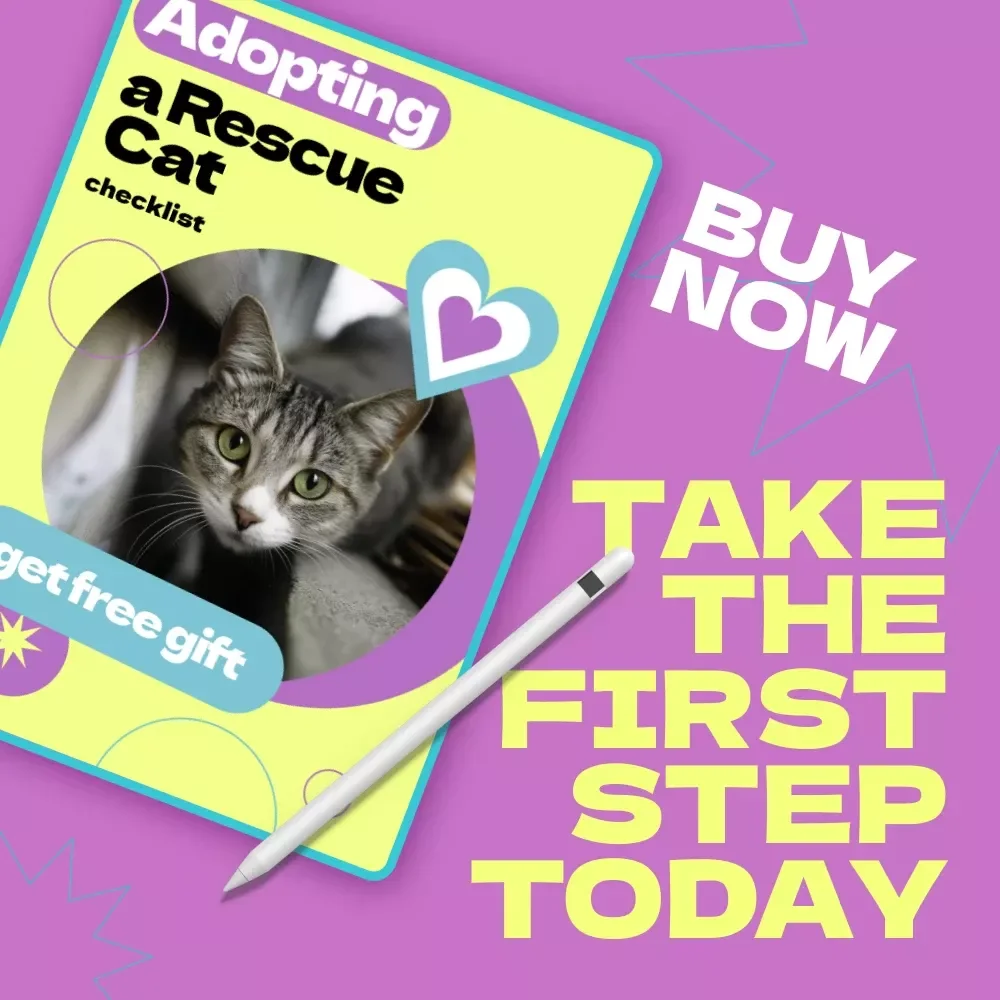 Adopting a Rescue Cat Checklist – How to Adopt a Rescue Cat Step-by-Step Guide for First-Time Pet Parents & Cat Lovers